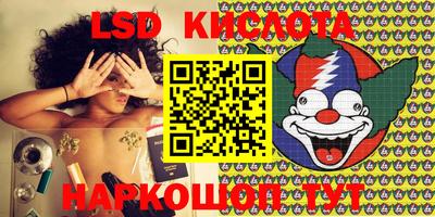 гидропоника Камышлов