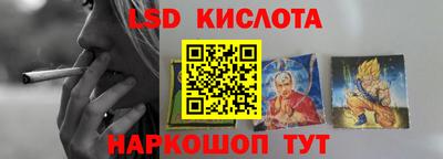 гидропоника Камышлов