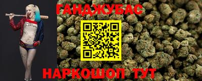 гидропоника Камышлов