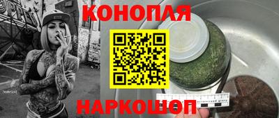 гидропоника Камышлов
