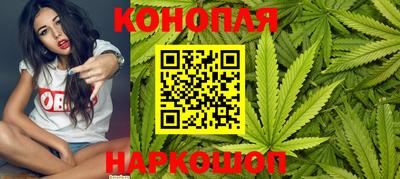 гидропоника Камышлов