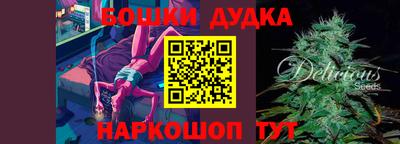 гидропоника Камышлов