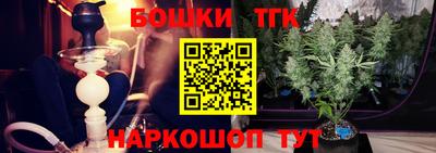 гидропоника Камышлов