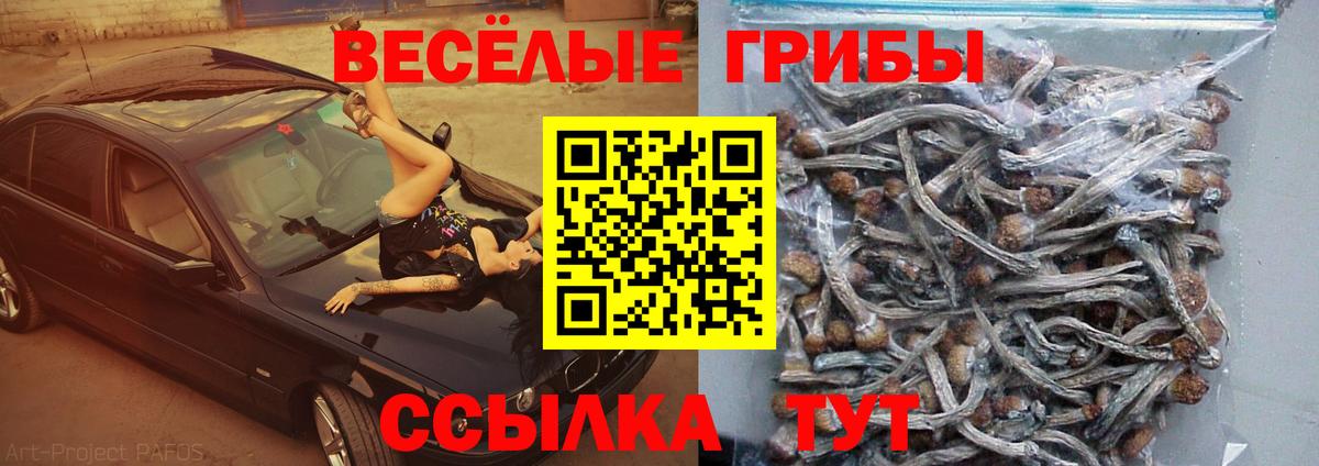 Псилоцибиновые грибы GOLDEN TEACHER  Вход с VPN  Краснознаменск 