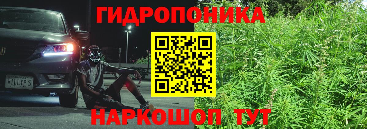 Марихуана White Widow Краснознаменск
